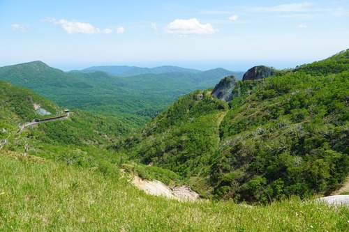 NTP08440.jpg