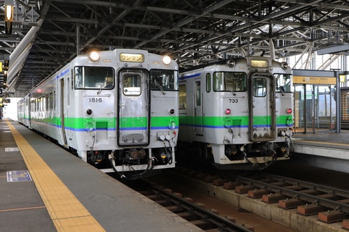 Y05A3568.jpg