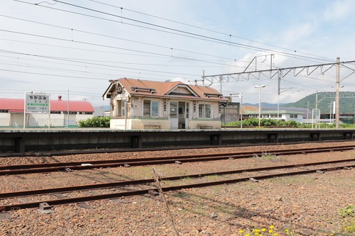 Y05A5208.jpg