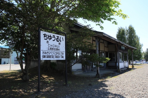 Y05A6078.jpg