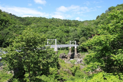 Y05A7345.jpg