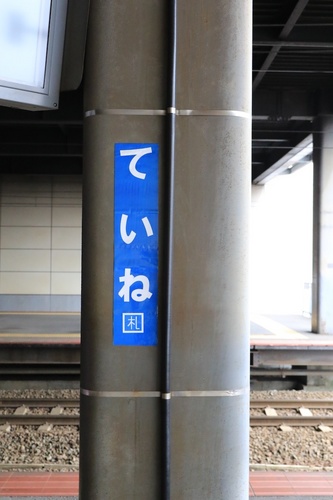 Y05A8596.jpg
