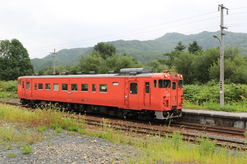 Y05A9864.jpg